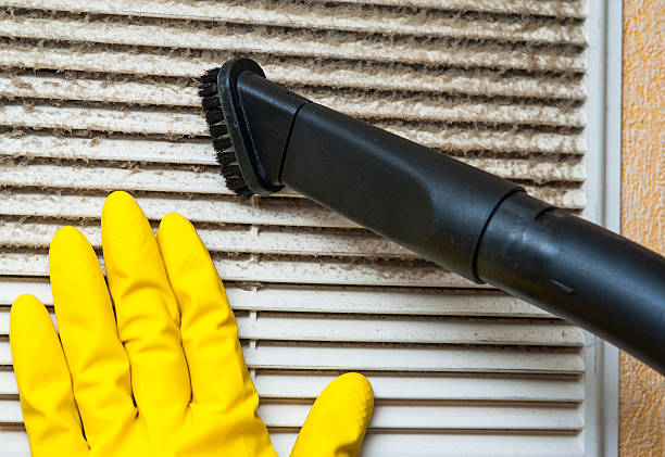 Best Best Air Duct Cleaning Company  in Eagle Grove, IA